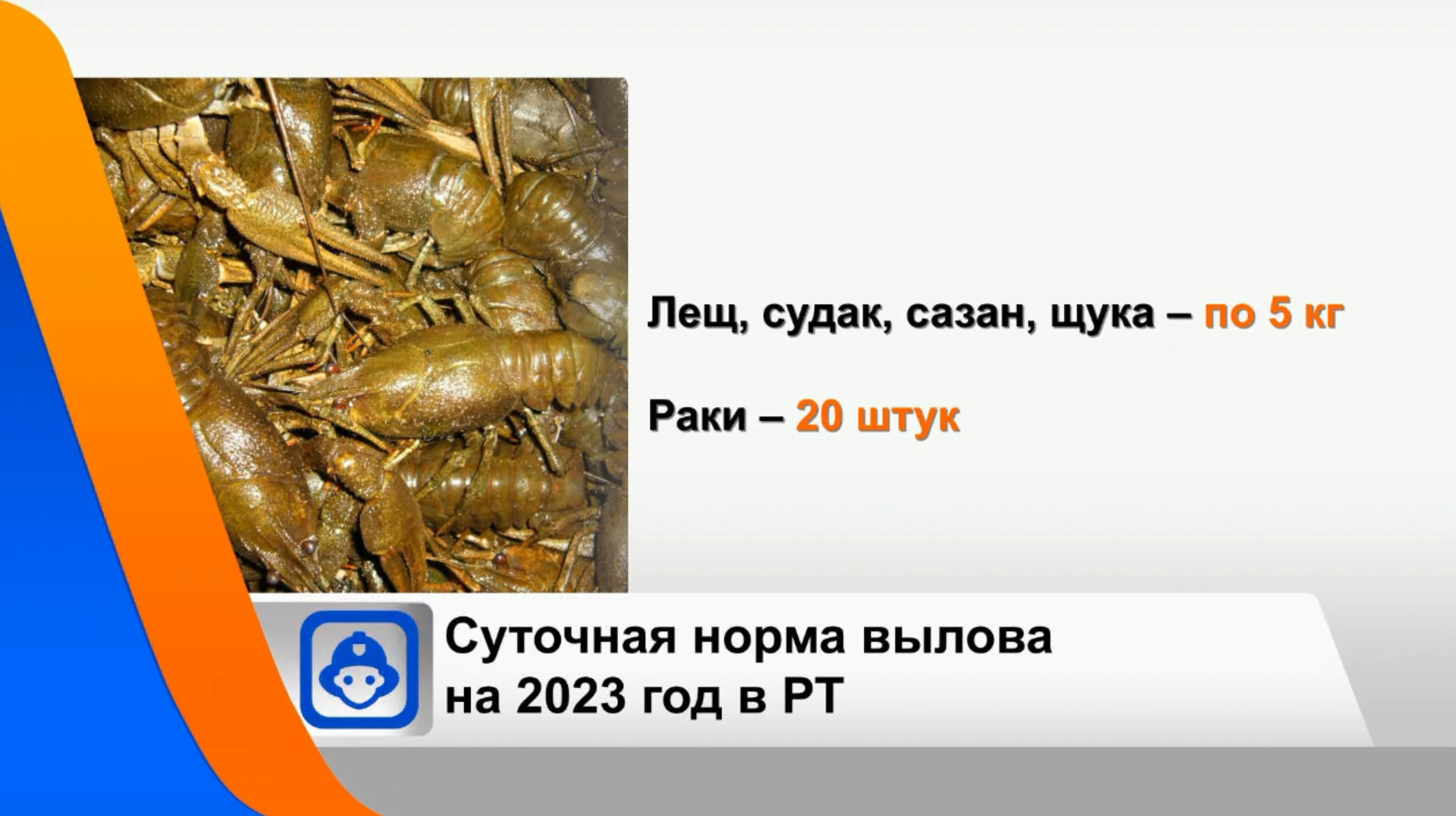 Нерестовый запрет 2024 в ставропольском крае. Пираты поймали рыбу которую нельзя ловить. Рыба нежелательные события. Выловка рыбы запрещена.