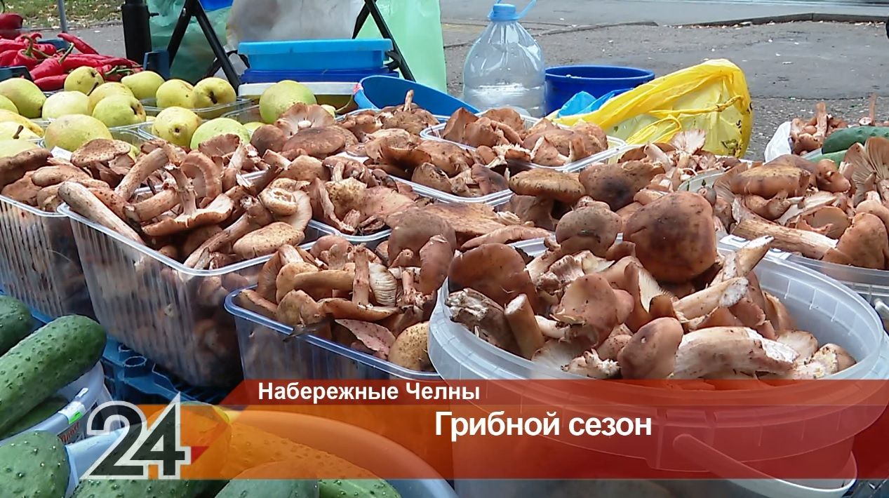 Медработники предостерегли татарстанцев от употребления подозрительных грибов