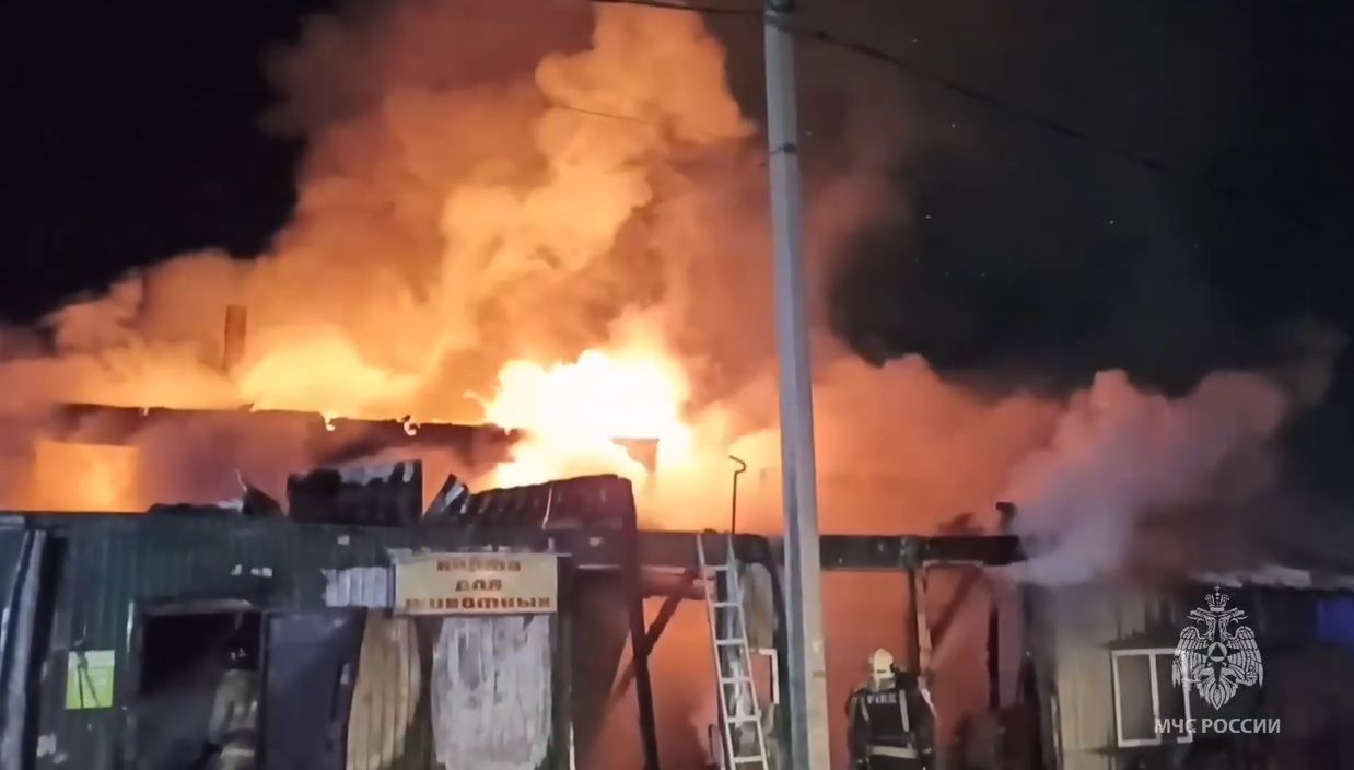 Более 20 человек погибли при пожаре в доме престарелых в Кемерово
