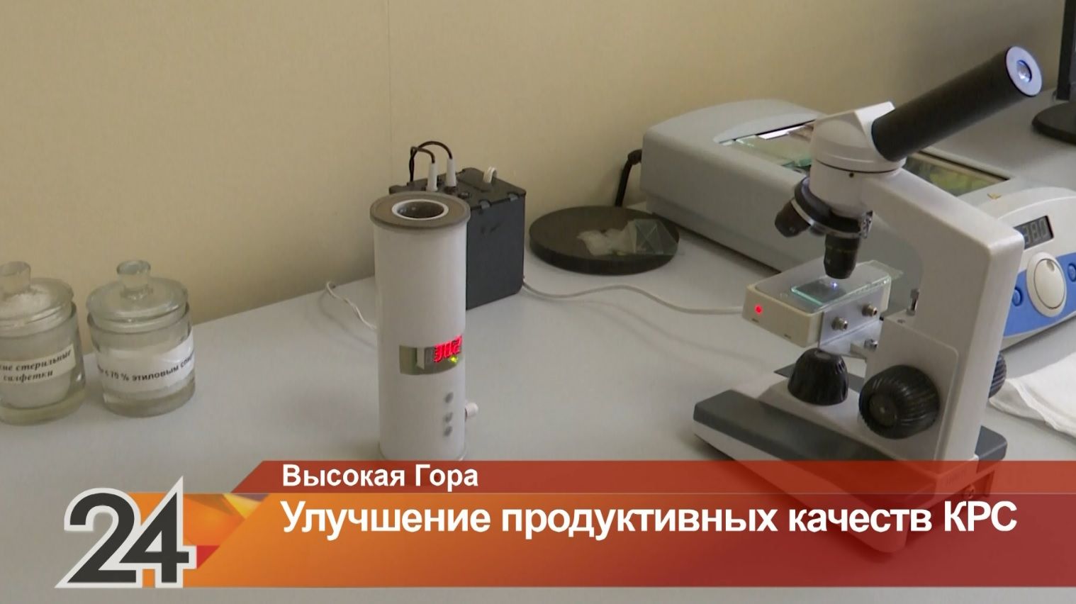 В Одессе расследуют исчезновение бычьей спермы на 85 млн грн - Новости Одессы | Сегодня