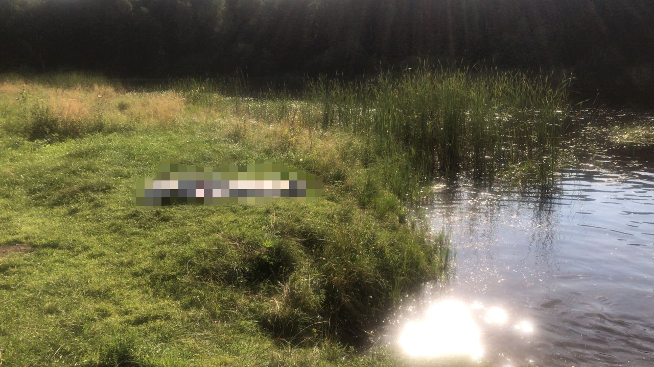Мужчина утонул на озере Зеркальное в Казани
