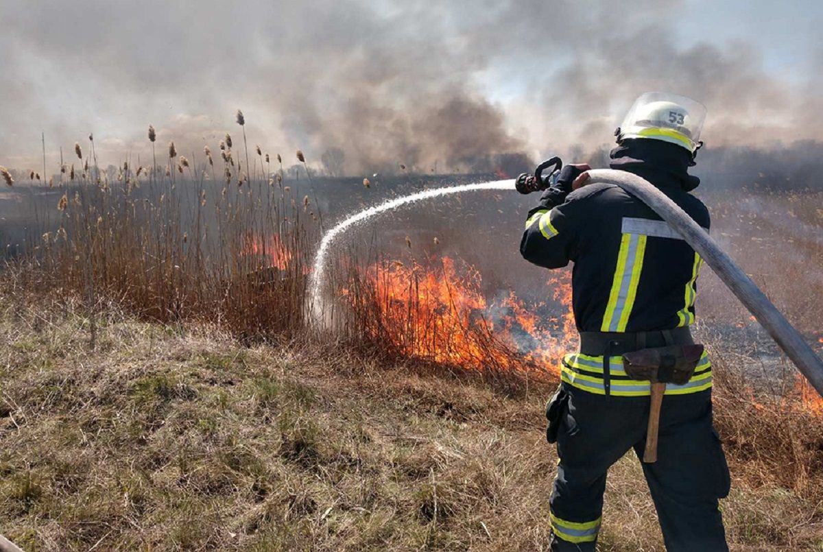 С начала года в Татарстане 457 раз горела сухая трава