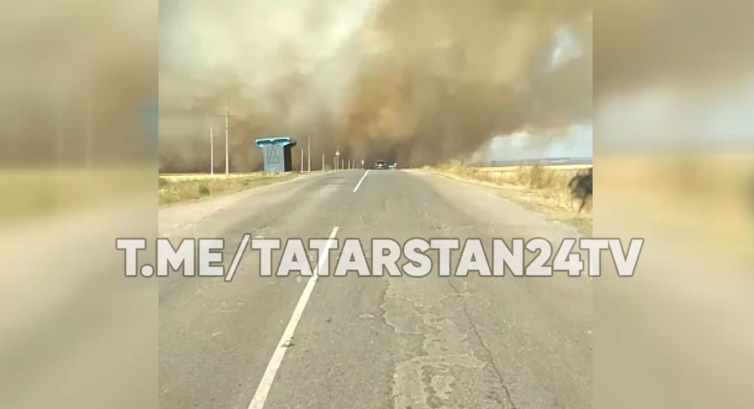 В полях Заинского района произошел крупный пожар