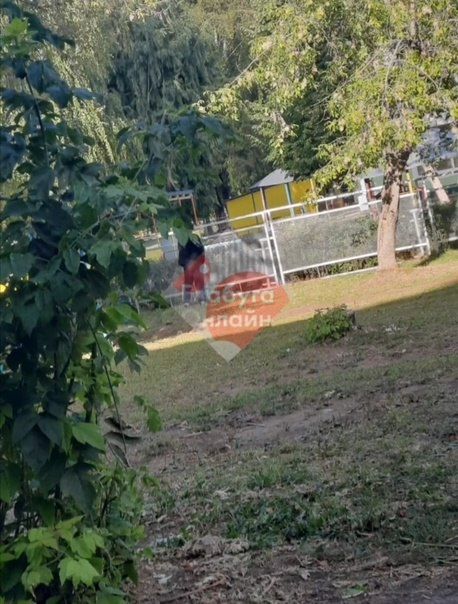 В Елабуге мужчина справил нужду на забор детского сада