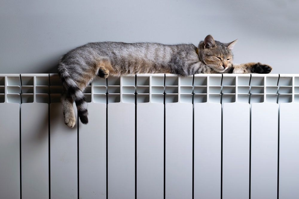 Пуск тепла в жилые дома Казани планируют начать с 20 сентября