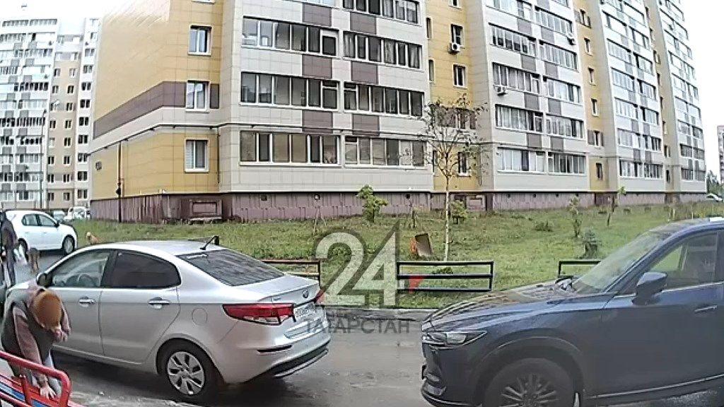 Возле подъезда в Казани собака напала на женщину