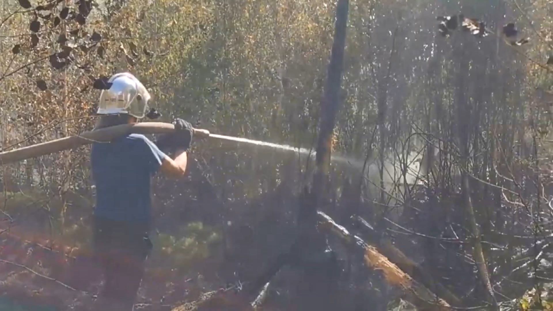 Пожарные из РТ помогли нижегородским коллегам в борьбе с лесными пожарами