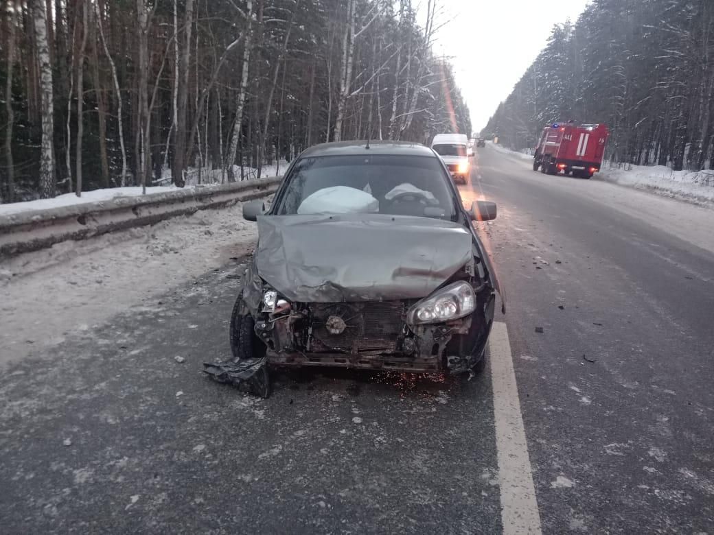 В Татарстане легковушка сбила лося, а затем столкнулась с другим авто