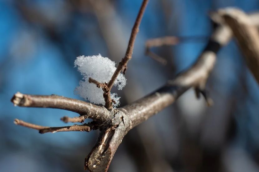 В феврале среднемесячная температура воздуха в Татарстане составит -10,7 градусов