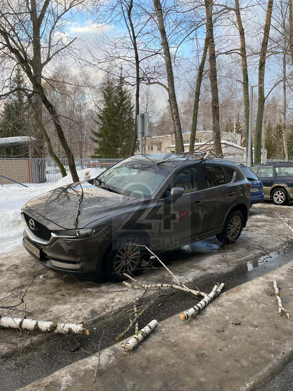 В Казани ветки дерева упали на автомобиль и повредили его