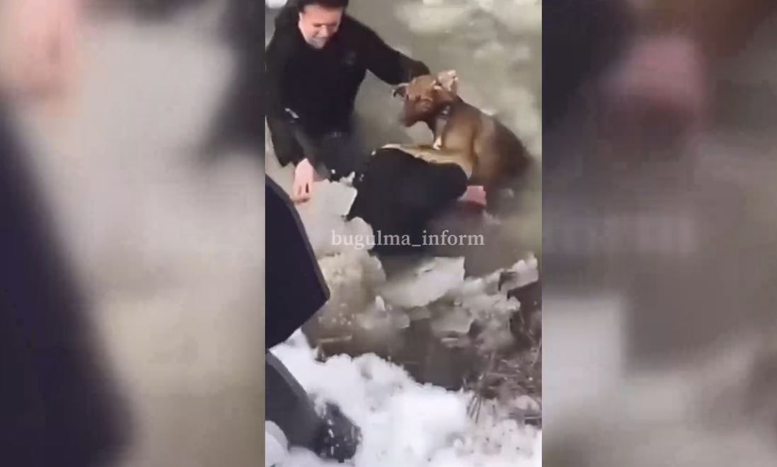 В Бугульме девушка вместе с двумя мужчинами спасла тонущего в ледяной воде пса