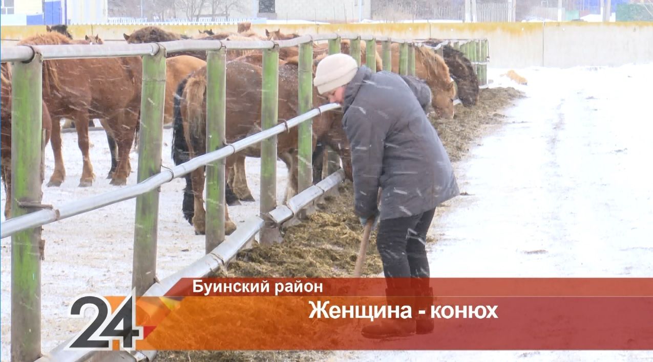 Коня на скаку остановит: жительница Буинского района уже более двадцати лет работает конюхом