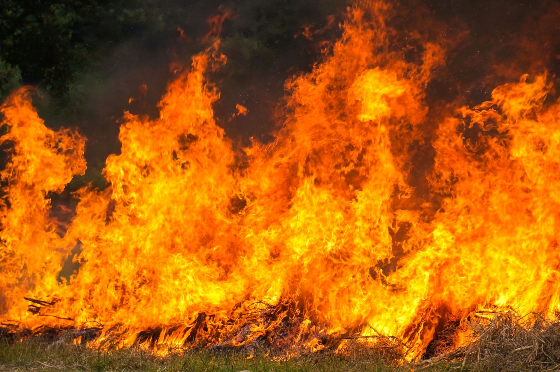 370 пожаров произошло из-за сжигания сухой травы в этом году в Татарстане