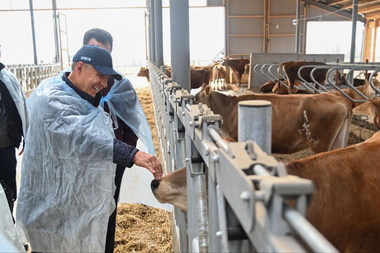Минниханов побывал на молочной ферме в Елабужском районе