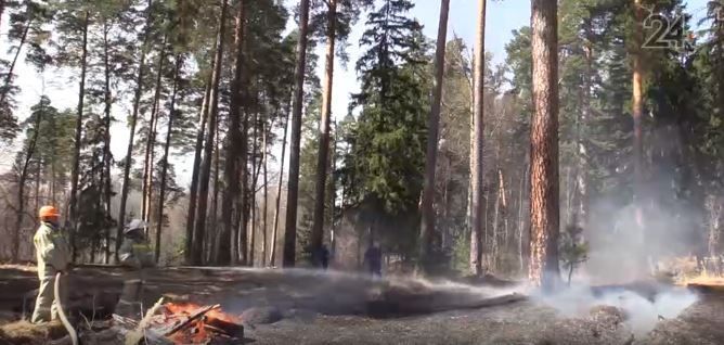 В Татарстане продлили штормовое предупреждение из-за опасности лесных пожаров