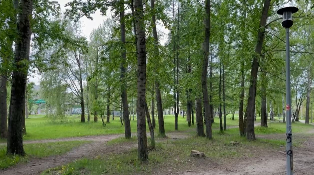 В Казани новый парк Кырлай начали готовить к строительству