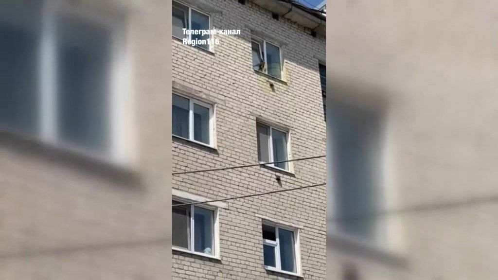 В Казани спасли кота, застрявшего в открытом окне