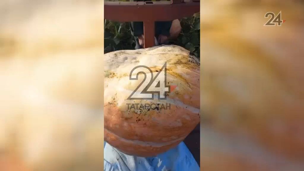 Жительница Татарстана вырастила тыкву весом 81 кг