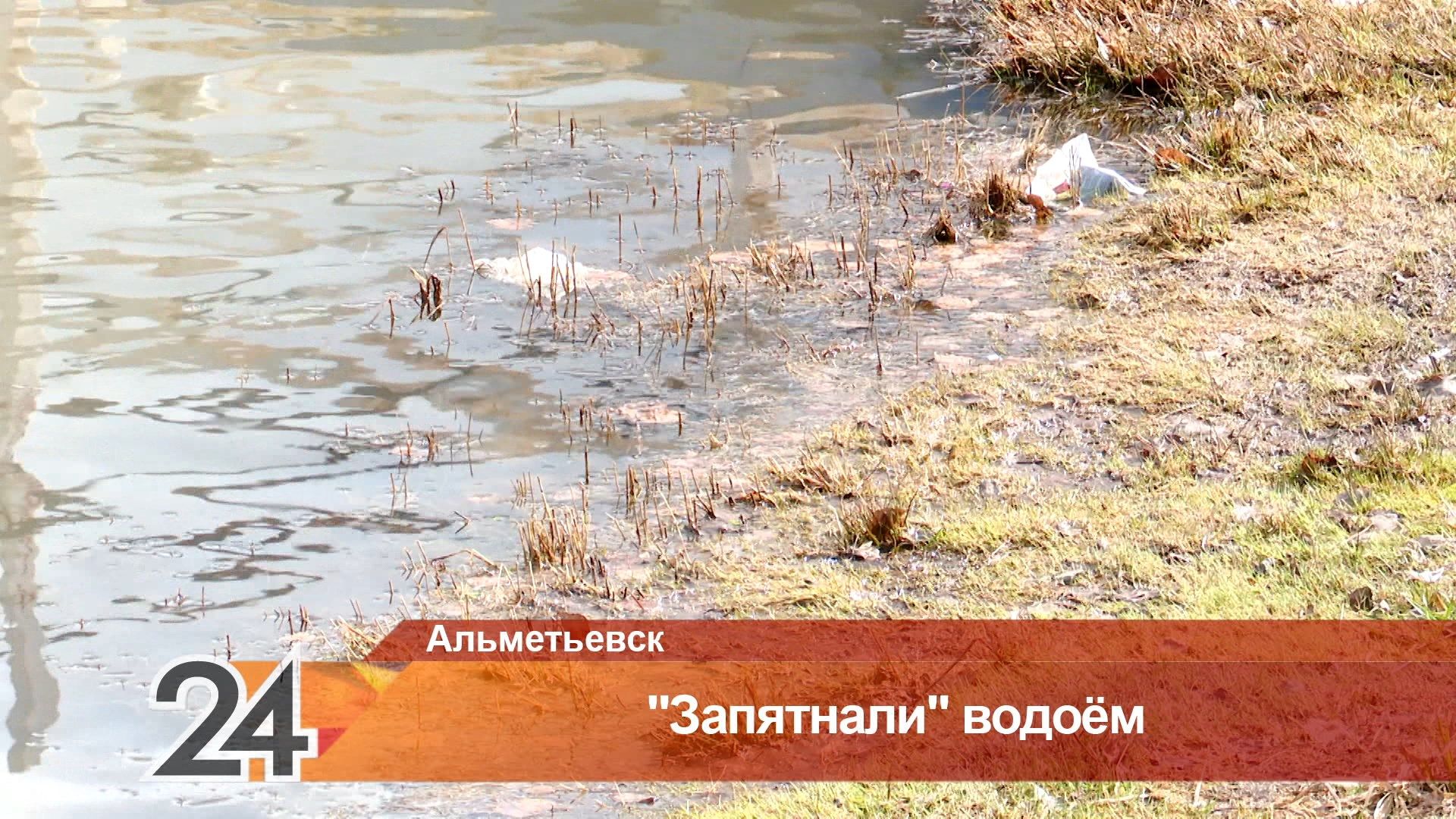 Масляное пятно в парке Альметьевска вызвало обеспокоенность местных жителей