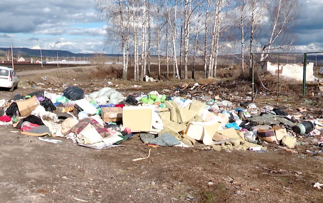 Валяется везде: в селе Русский Акташ мусор заполонил сельхозугодья