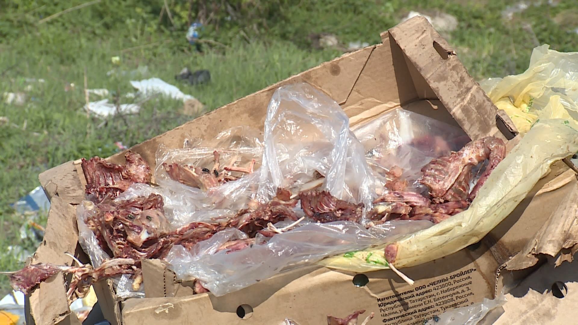 Мы сначала подумали, что кто-то умер: жители казанского поселка жалуются на гниющий мусор