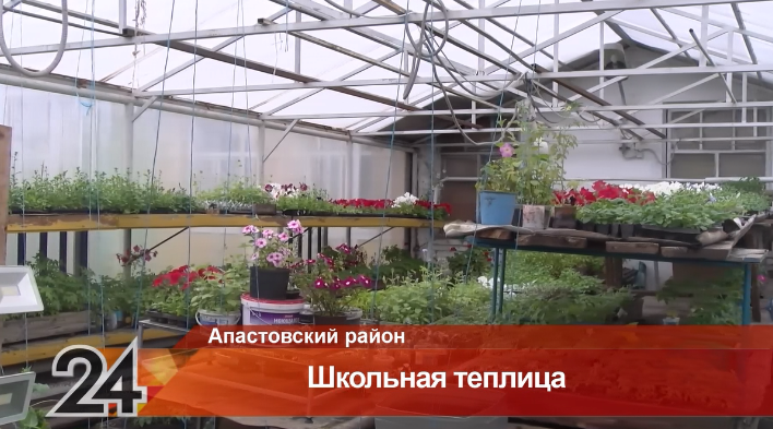 В Апастовском районе ученики выращивают цветы и овощи в школьной теплице