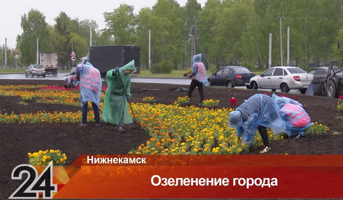 В Нижнекамске началась масштабная высадка цветов к лету