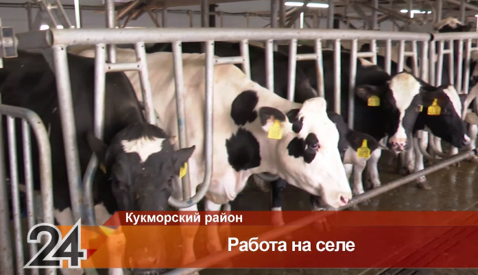 В Кукморском районе запустили новый молочный комплекс