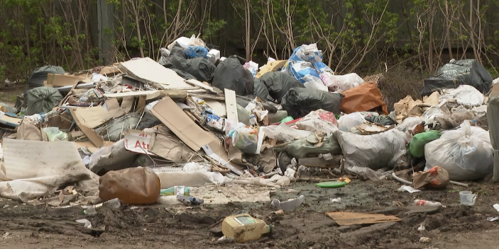 Казанцы обнаружили в мусорных контейнерах отходы животного происхождения