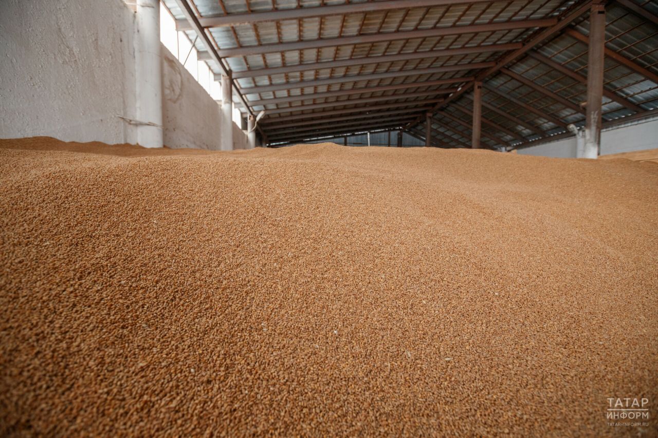 Элеваторы Татарстана накопили 1,3 млн тонн зерна