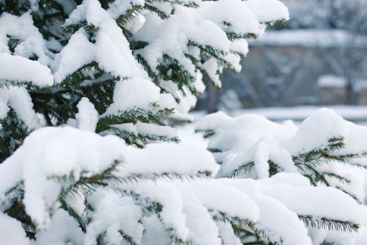 В ночь на 24 января синоптики обещают в Казани снегопад