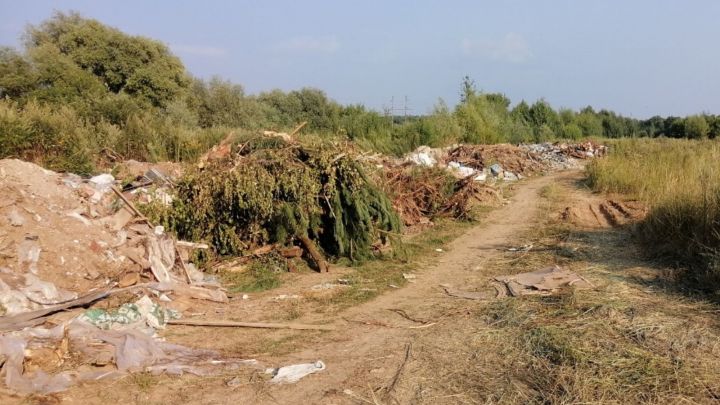 В Казани экологи выявили незаконную свалку площадью 4,5 тысячи кв. метров