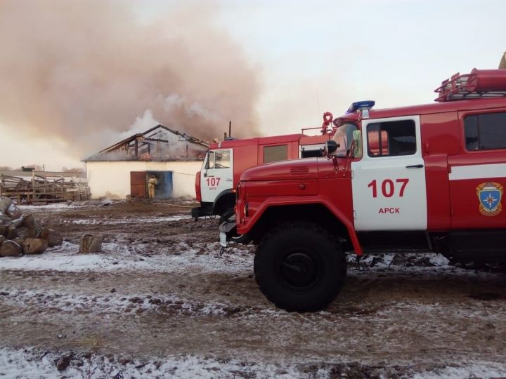 В Татарстане во время пожара на ферме спасли 130 коров и телят