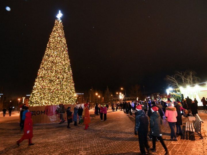 Вандалы разгромили новогоднюю елку в микрорайоне Дербышки