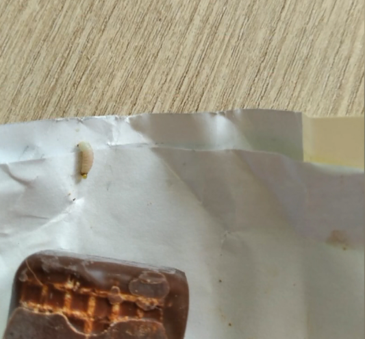 Жители Казани обнаружили червя в конфетах, купленных по акции в магазине