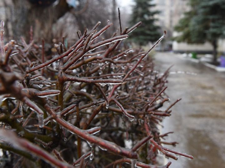 20 февраля в Казани потеплеет до +3 градусов
