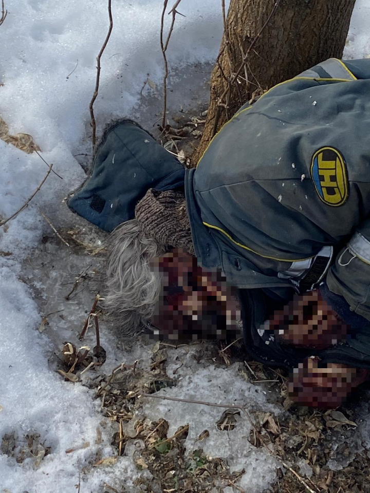 В Татарстане на берегу реки обнаружили тело мужчины со следами укусов животных