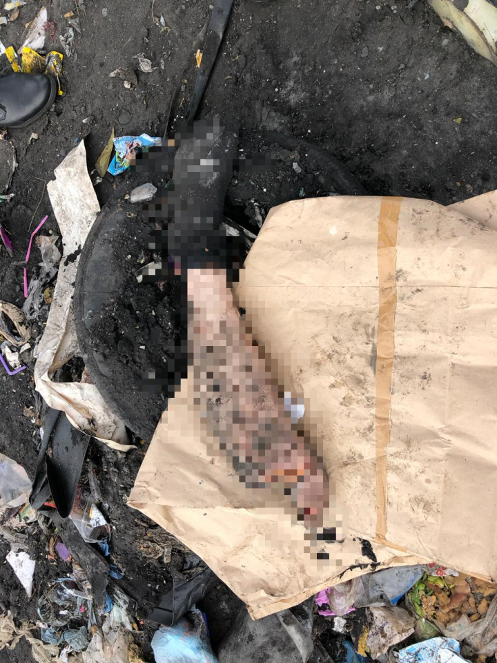 В РТ на мусорном полигоне в мешке для отходов обнаружили человеческую ногу