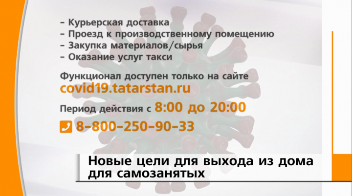 В Татарстане в системе цифровых пропусков появились четыре новые цели