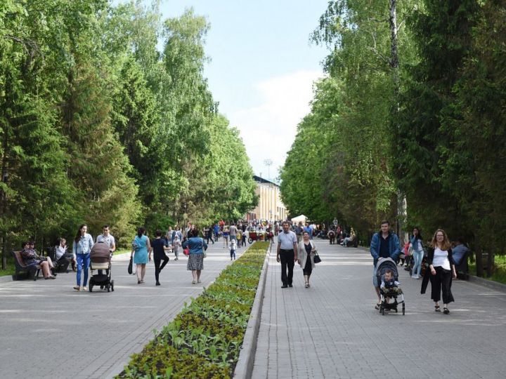 В Казани парки и скверы начали обрабатывать от клещей