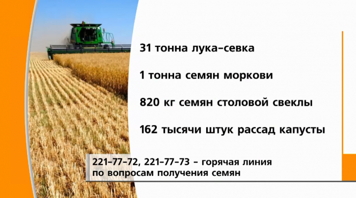 В Татарстане сельским жителям бесплатно раздадут семена и рассаду на 10 млн рублей