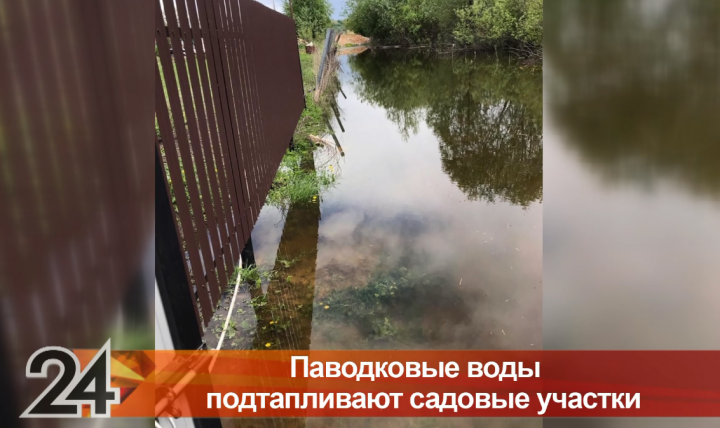 В пяти районах Татарстана из-за паводка затопило садовые участки