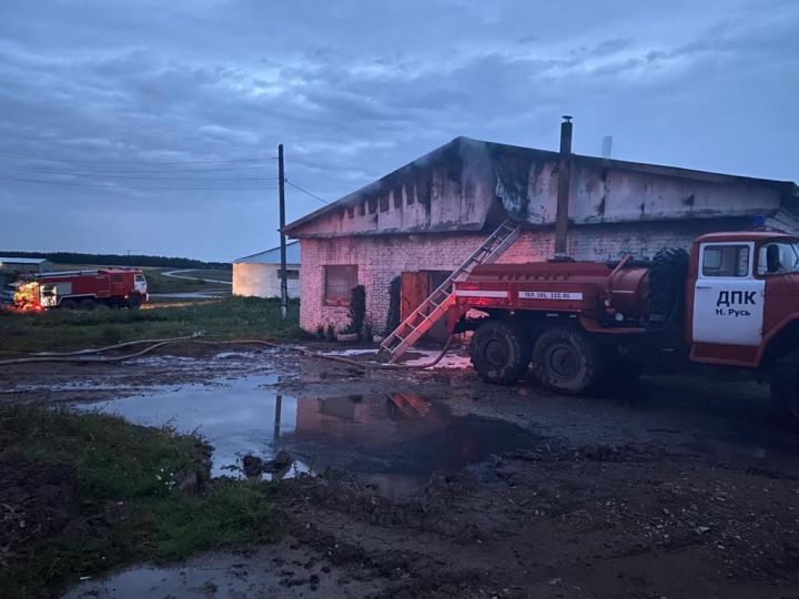 Двести коров спасли при пожаре на ферме в Татарстане