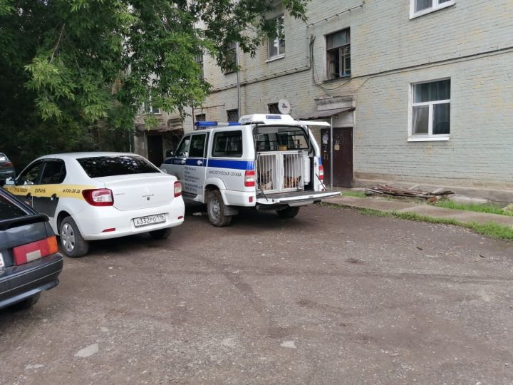 В Казани было совершено вооруженное нападение на отделение микрозаймов