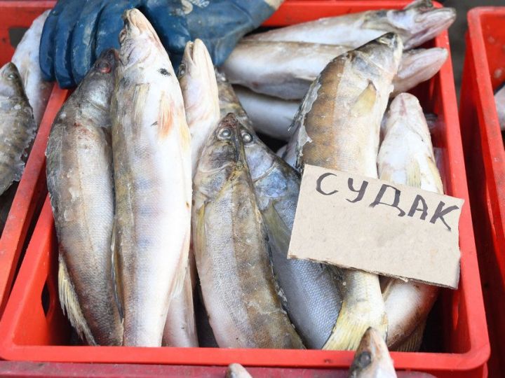В Татарстане запустили горячую линию по вопросам качества мясной и рыбной продукции