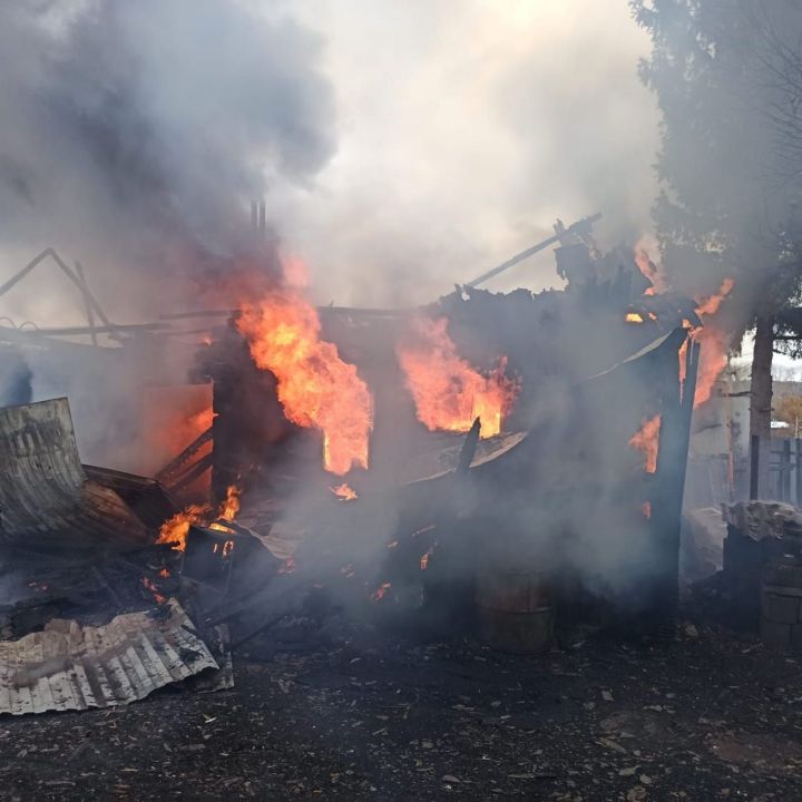 В Лениногорском районе мужчина заживо сгорел в своем доме