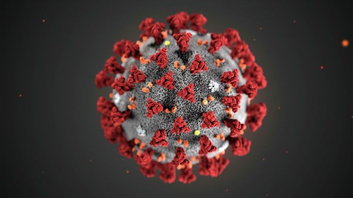 Новые мутации коронавируса делают его более агрессивным - ученые