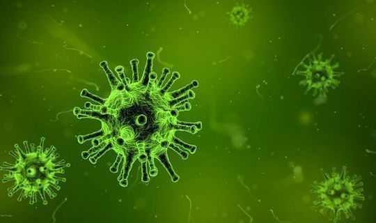 В России зарегистрировано максимальное число смертей от коронавируса