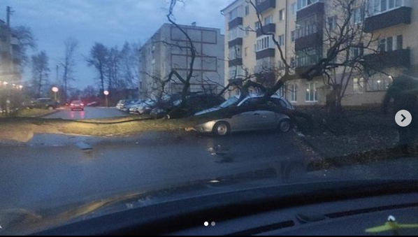 В Зеленодольске из-за ветра дерево упало на автомобиль