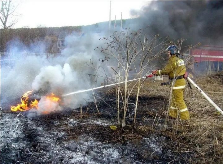 В Татарстане почти в три раза выросло количество природных пожаров